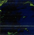     NOAA 18 