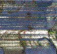     NOAA 19 