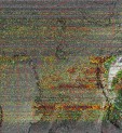     NOAA 19 