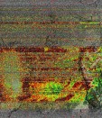     NOAA 19 