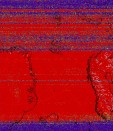     NOAA 19 