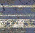     NOAA 19 