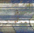     NOAA 19 