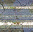     NOAA 19 