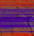     NOAA 19 