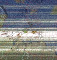     NOAA 19 