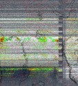     NOAA 19 