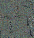     NOAA 19 