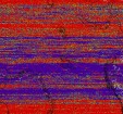     NOAA 19 