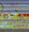     NOAA 19 